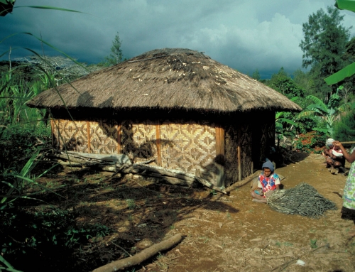«L’an dernier ils ont brûlé notre maison» – Papuasie Nouvelle Guinea