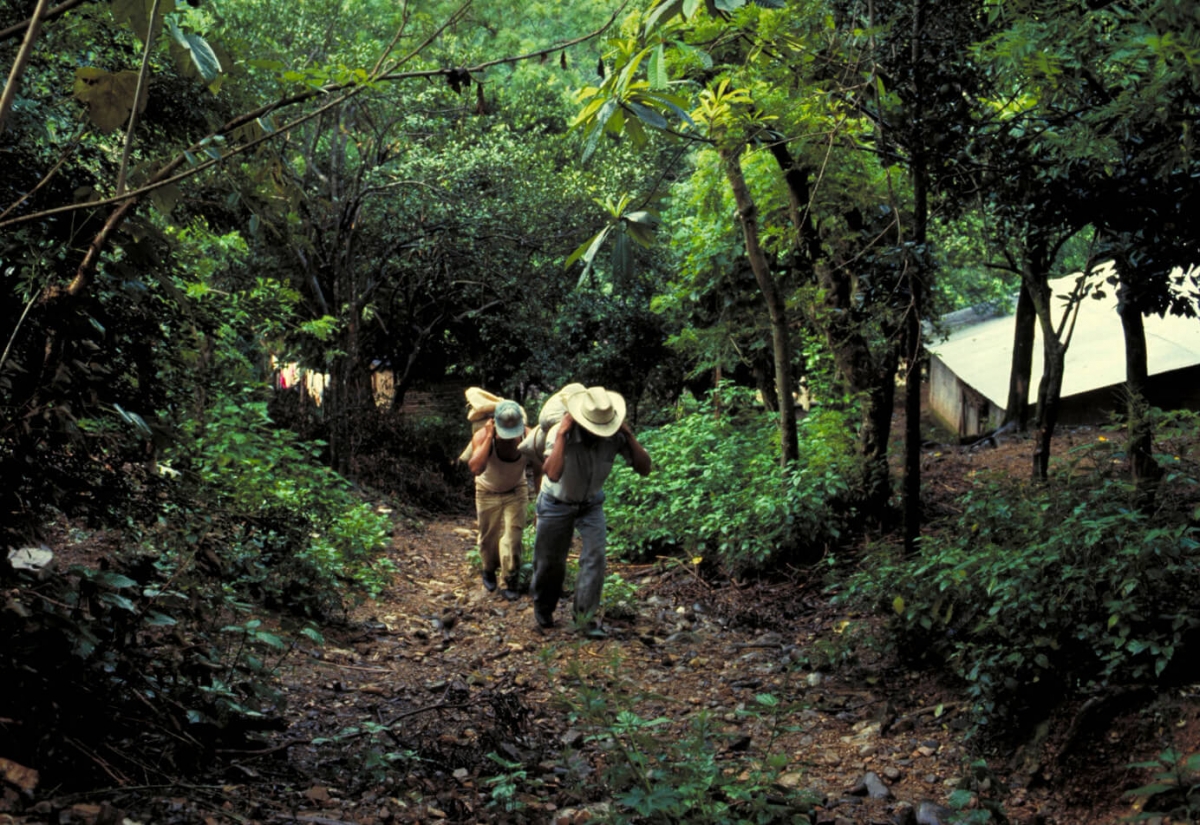 Mexico oranges Let’s Meet on Earth