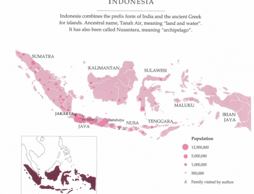 The Indonesians